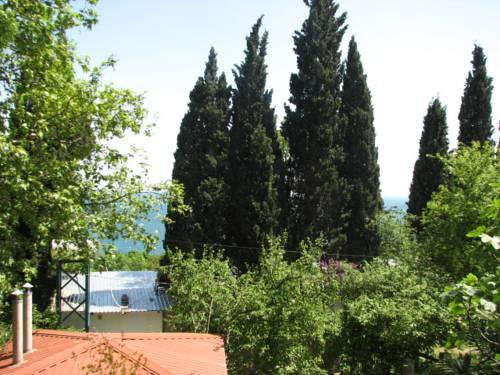 Гостиница Guest House Natali Алупка-38