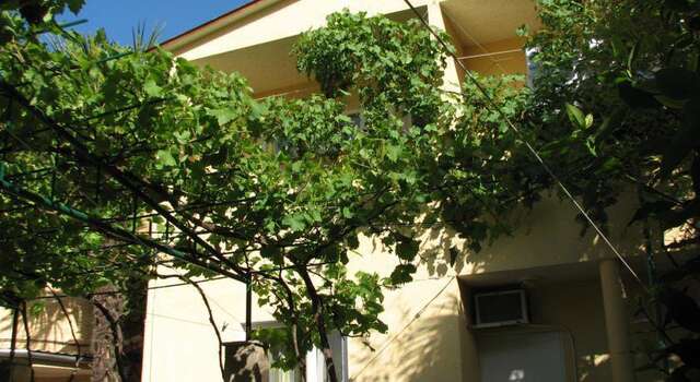 Гостиница Guest House Natali Алупка-56