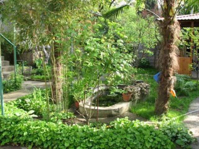 Гостиница Guest House Natali Алупка-13
